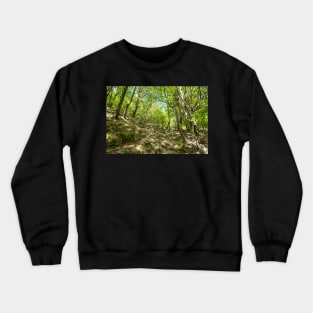 Beech forest and hiking trail Crewneck Sweatshirt